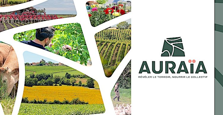 EN FUSION – 9.000 agriculteurs et 1.915 collaborateurs font Auraïa